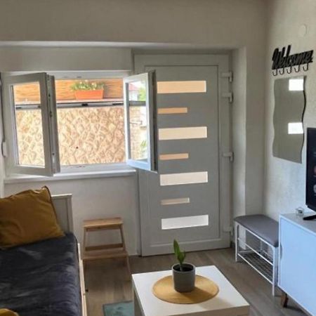 Apartman Pod Plocom 塞尼 外观 照片