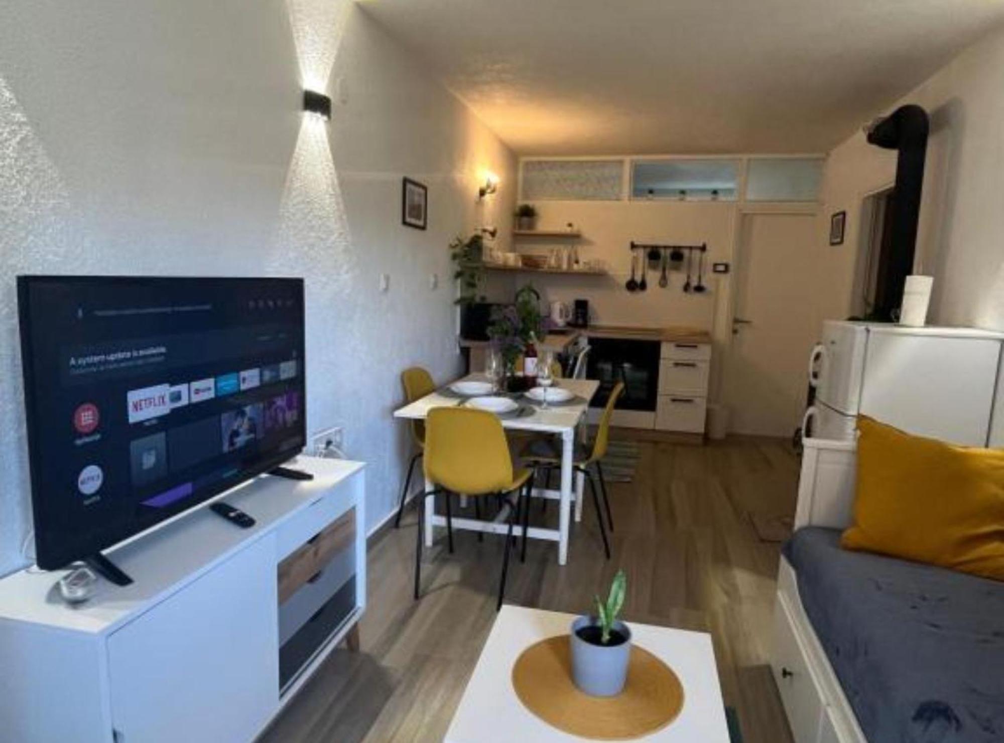 Apartman Pod Plocom 塞尼 外观 照片